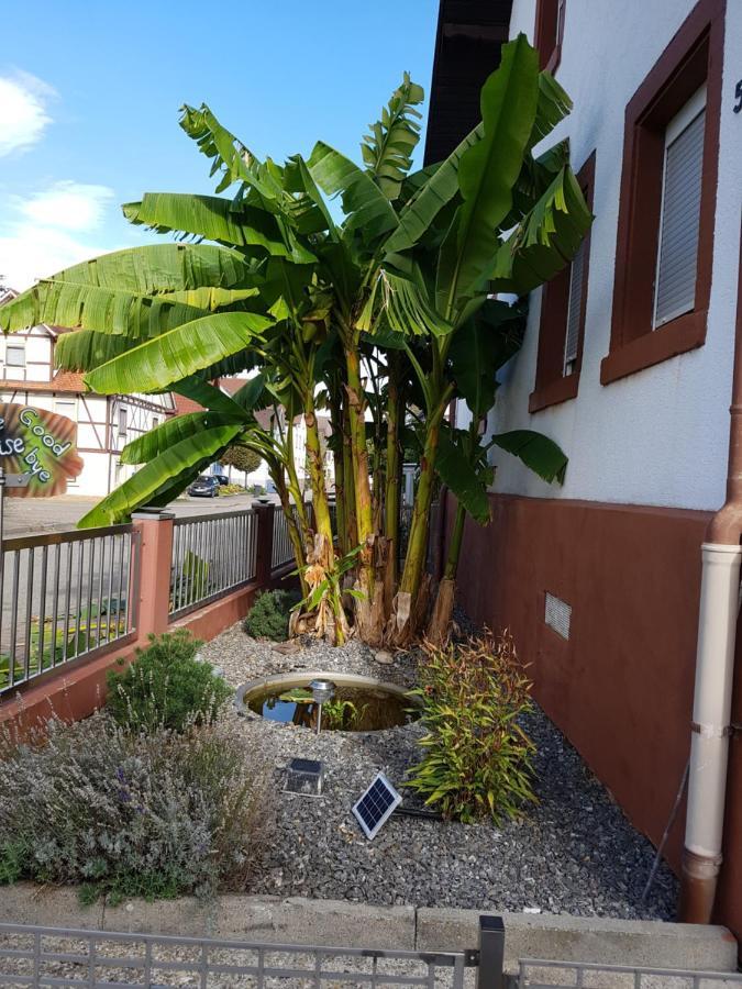 Appartamento Marielies-Urlaubsstube Meißenheim Esterno foto